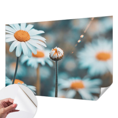 Tapeta do detskej izby Harmančeková pochúťka