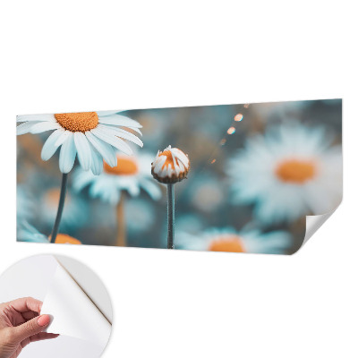 Tapeta do detskej izby Harmančeková pochúťka