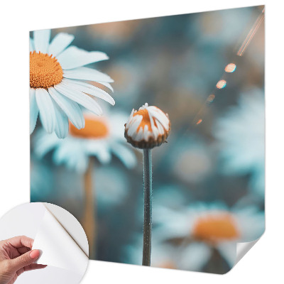 Tapeta do detskej izby Harmančeková pochúťka