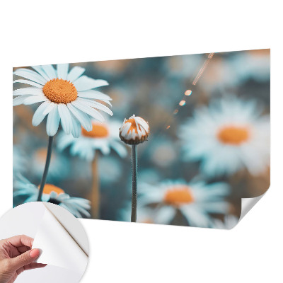 Tapeta do detskej izby Harmančeková pochúťka