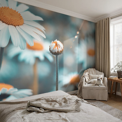 Tapeta do detskej izby Harmančeková pochúťka