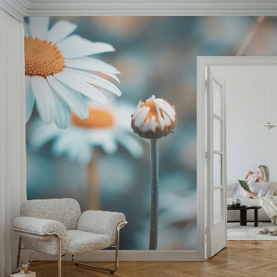 Tapeta do detskej izby Harmančeková pochúťka