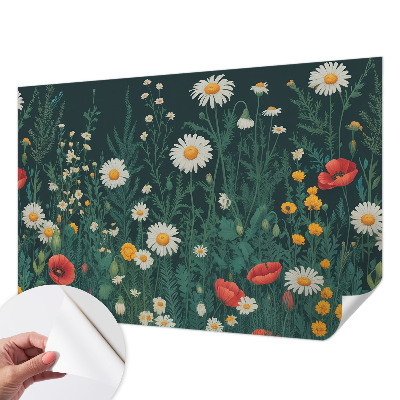 Fototapeta pre chlapca Divoké kvety