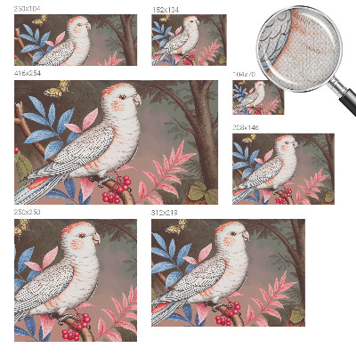 Moderná tapeta na stenu Tropická príroda