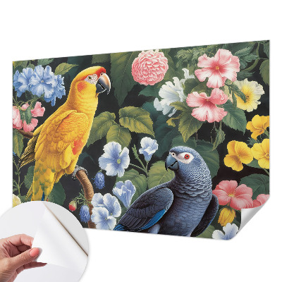 Tapety na stenu samolepiace Exotické vtáky