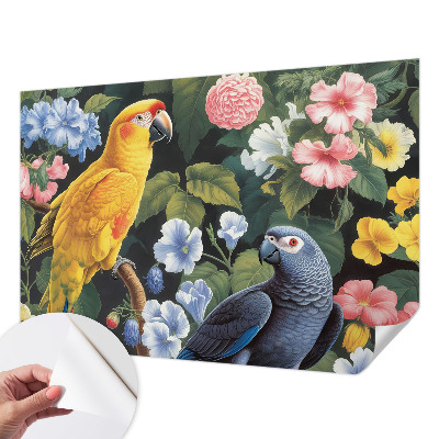 Tapety na stenu samolepiace Exotické vtáky