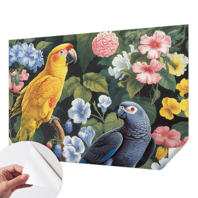 Tapety na stenu samolepiace Exotické vtáky