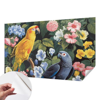 Tapety na stenu samolepiace Exotické vtáky