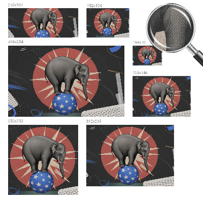 Samolepiaca fototapeta Cirkusový slon