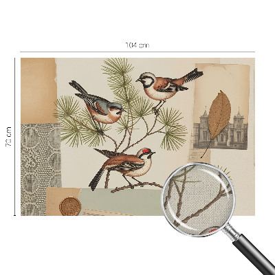 Fotografická tapeta samolepiaca Koláž vtákov