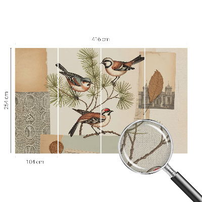 Fotografická tapeta samolepiaca Koláž vtákov