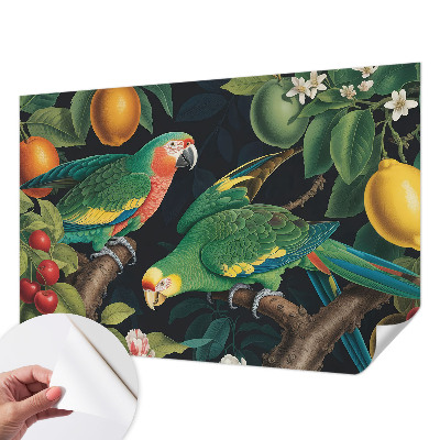 Samolepiaca fototapeta do spálne Tropické dobrodružstvo