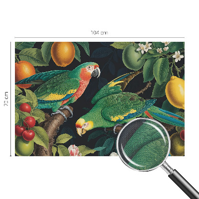 Samolepiaca fototapeta do spálne Tropické dobrodružstvo