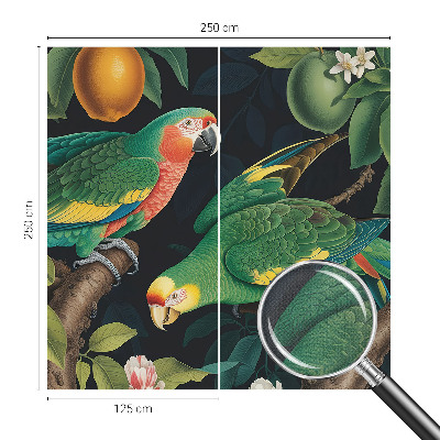 Samolepiaca fototapeta do spálne Tropické dobrodružstvo