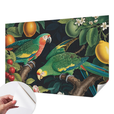 Samolepiaca fototapeta do spálne Tropické dobrodružstvo