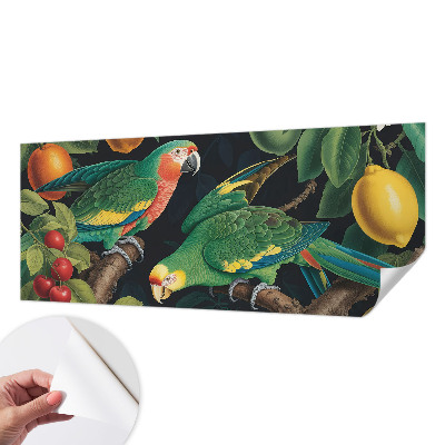 Samolepiaca fototapeta do spálne Tropické dobrodružstvo