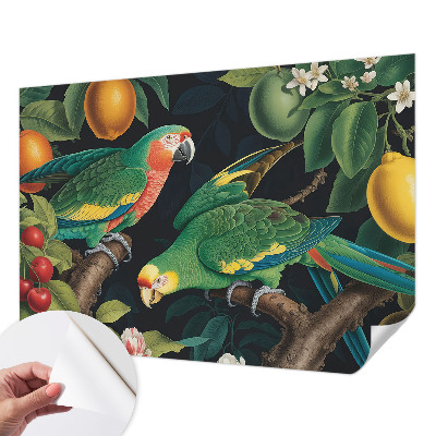 Samolepiaca fototapeta do spálne Tropické dobrodružstvo