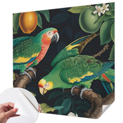 Samolepiaca fototapeta do spálne Tropické dobrodružstvo