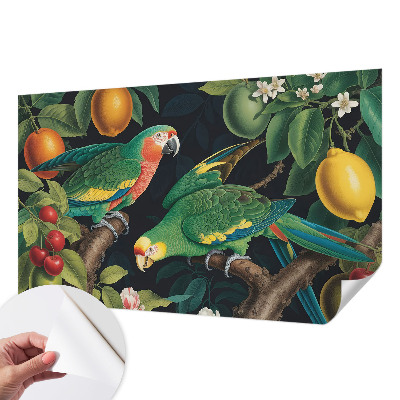 Samolepiaca fototapeta do spálne Tropické dobrodružstvo