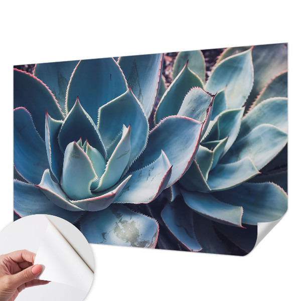 Fotografická tapeta do detskej izby Zelená aloe