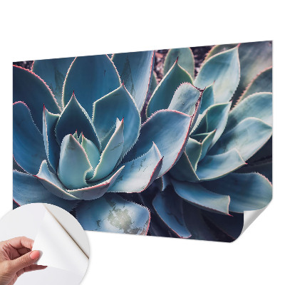 Fotografická tapeta do detskej izby Zelená aloe