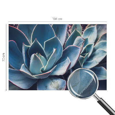 Fotografická tapeta do detskej izby Zelená aloe