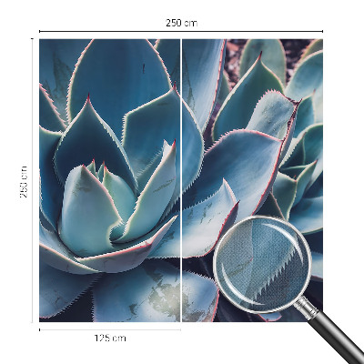 Fotografická tapeta do detskej izby Zelená aloe