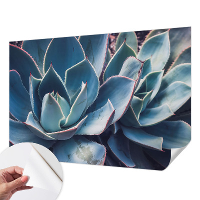 Fotografická tapeta do detskej izby Zelená aloe