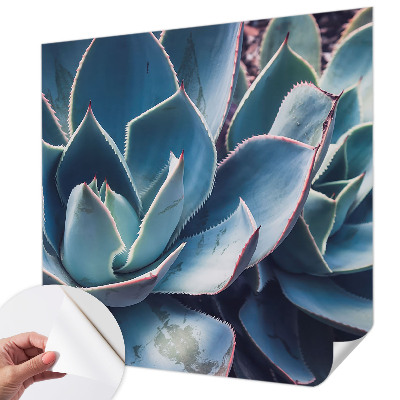 Fotografická tapeta do detskej izby Zelená aloe