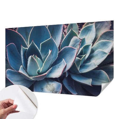 Fotografická tapeta do detskej izby Zelená aloe