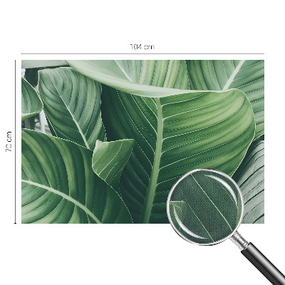 Detská fototapeta na stenu Zelený mier