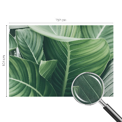 Detská fototapeta na stenu Zelený mier