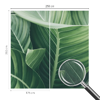 Detská fototapeta na stenu Zelený mier