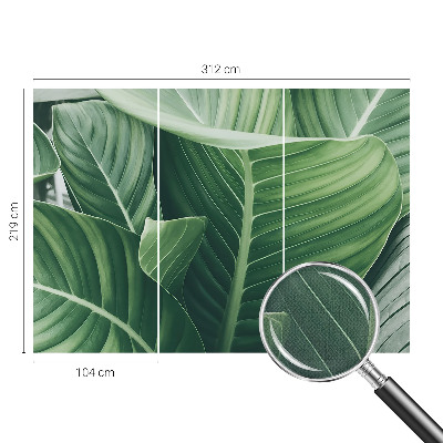 Detská fototapeta na stenu Zelený mier