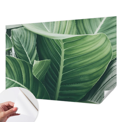 Detská fototapeta na stenu Zelený mier