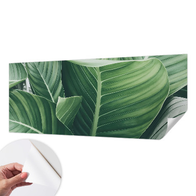 Detská fototapeta na stenu Zelený mier