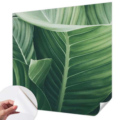 Detská fototapeta na stenu Zelený mier