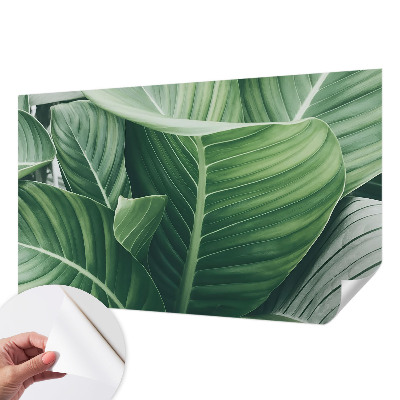 Detská fototapeta na stenu Zelený mier