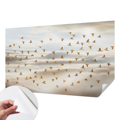 3D tapeta na stenu Vtáky za letu