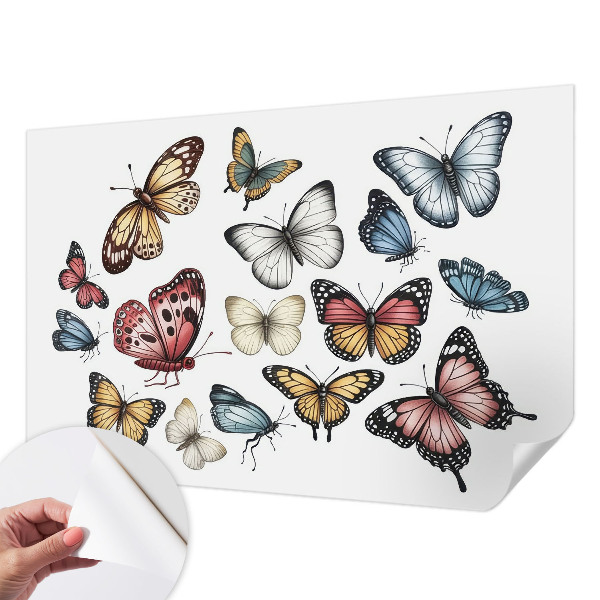 Fototapeta do detskej izby Rajské motýle