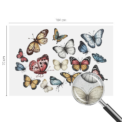 Fototapeta do detskej izby Rajské motýle