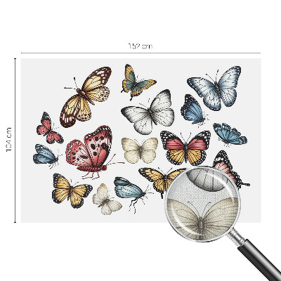 Fototapeta do detskej izby Rajské motýle