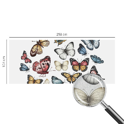 Fototapeta do detskej izby Rajské motýle