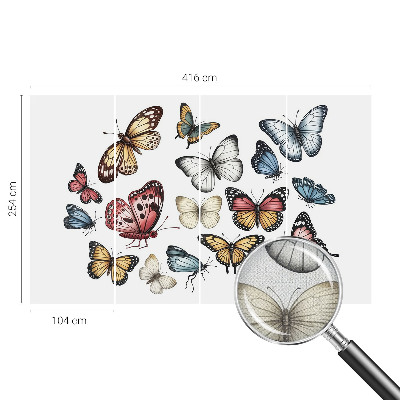 Fototapeta do detskej izby Rajské motýle