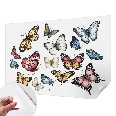 Fototapeta do detskej izby Rajské motýle