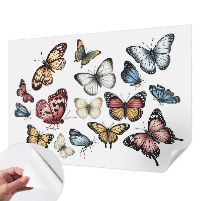 Fototapeta do detskej izby Rajské motýle