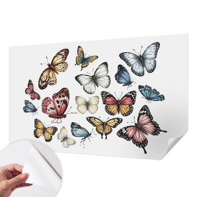 Fototapeta do detskej izby Rajské motýle