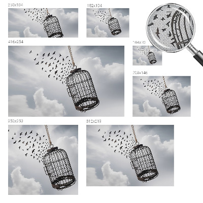 Fototapeta pre dievča Lietajúce vtáky