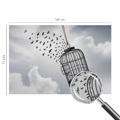 Fototapeta pre dievča Lietajúce vtáky