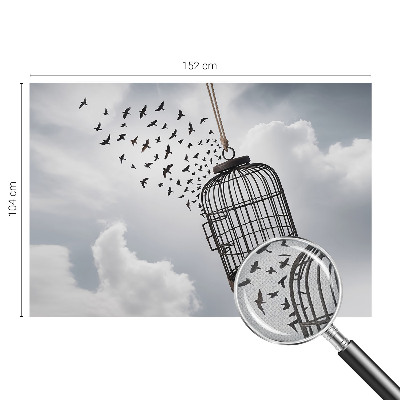 Fototapeta pre dievča Lietajúce vtáky